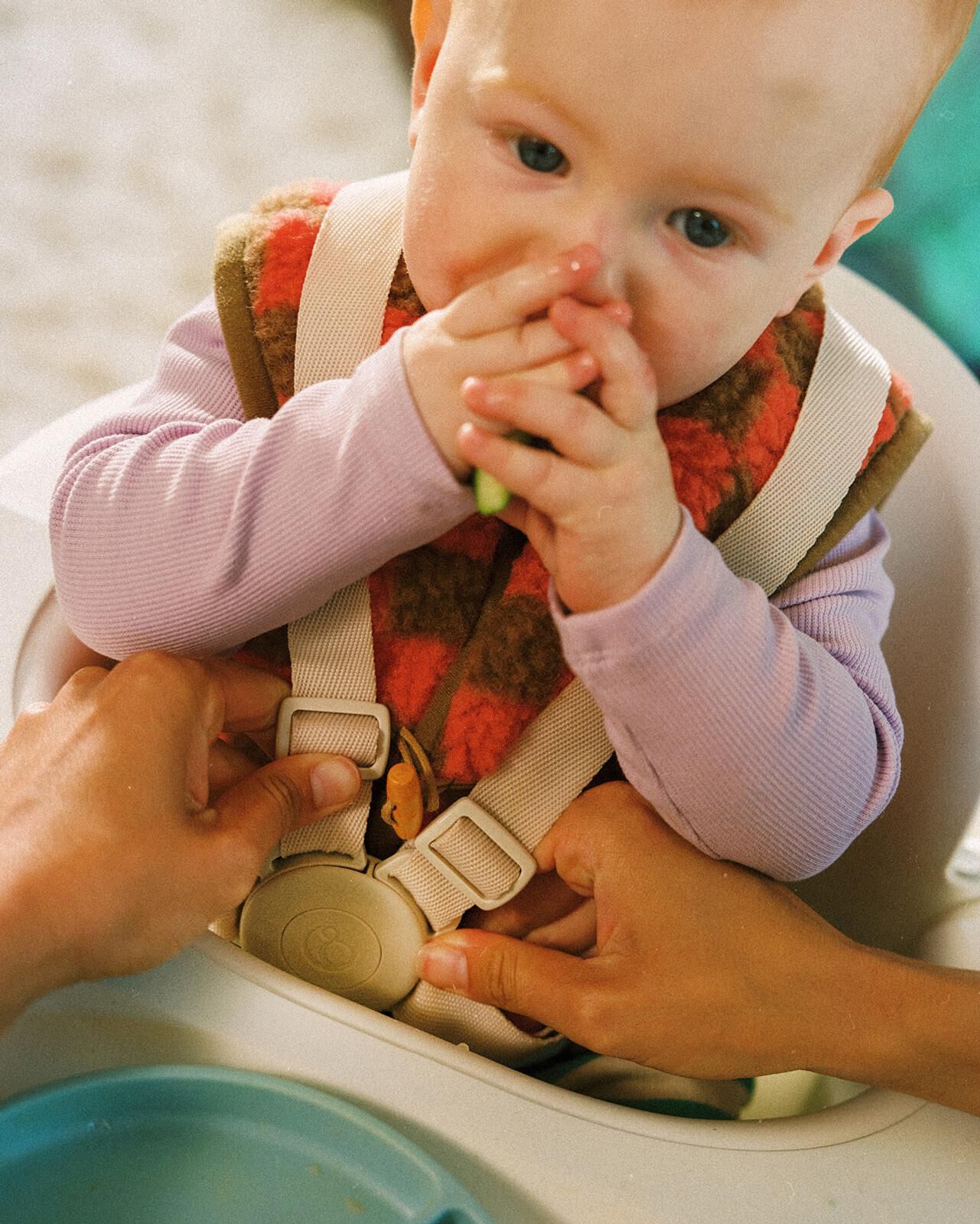 Adult hands buckle a baby into a high chair, while the baby holds food to its mouth.