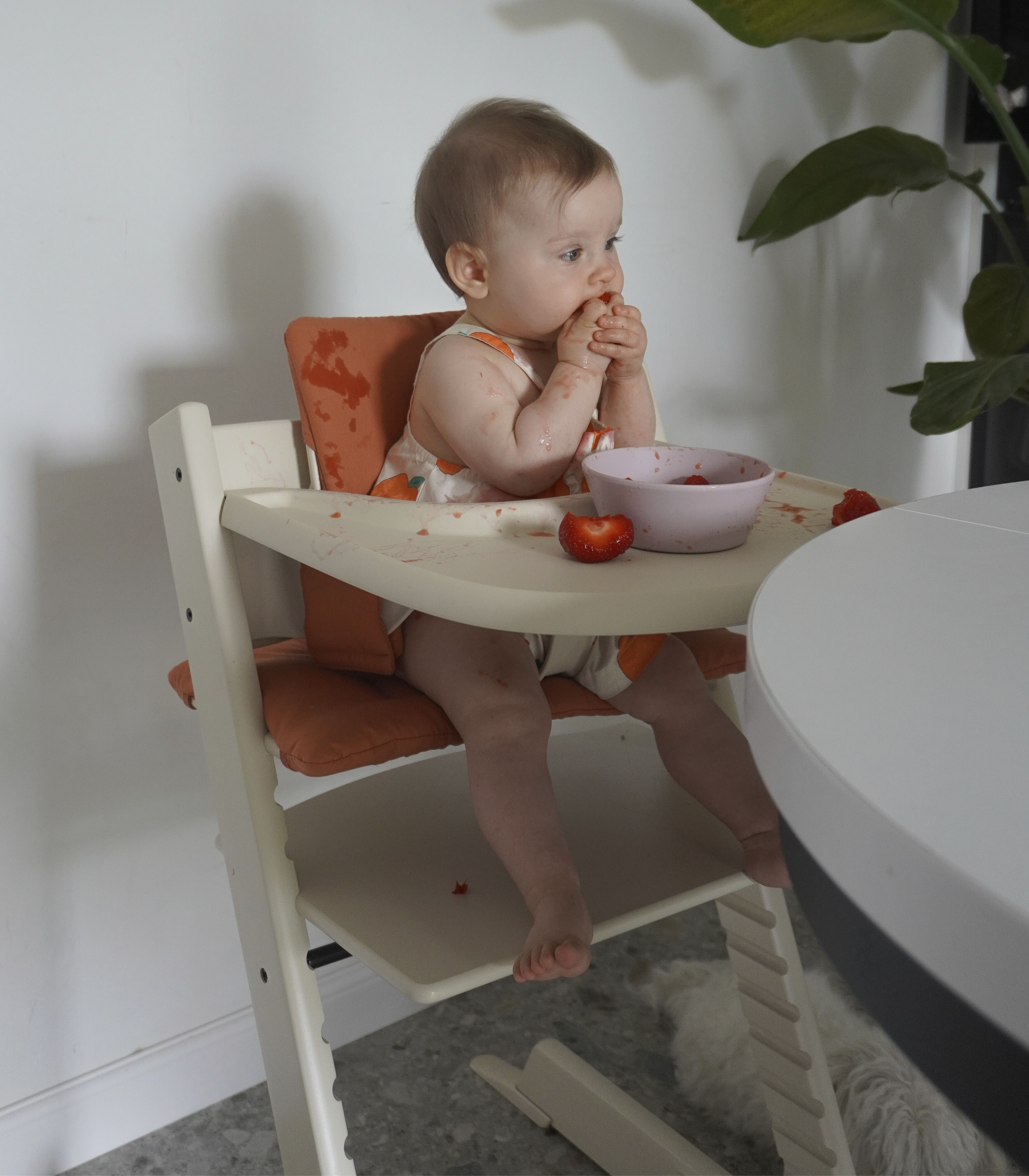 Stokke® Tray, Vanilla White, mainview Galeriebild 2
