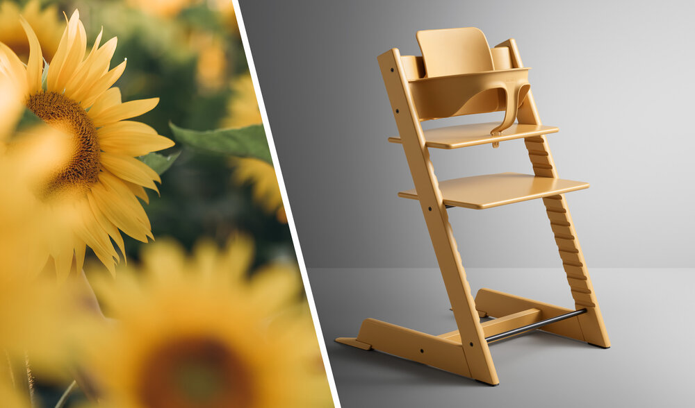 Sunflowers and Sunflower TT chair