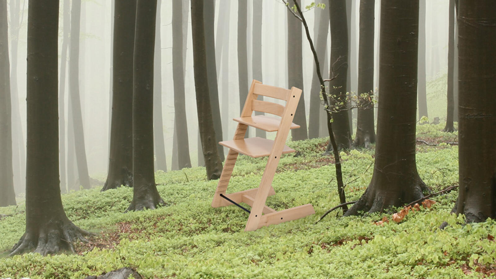 TT chair in green forest