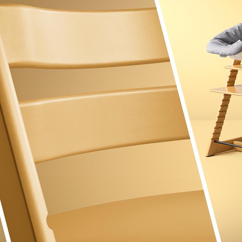 tt sunflower creative images set