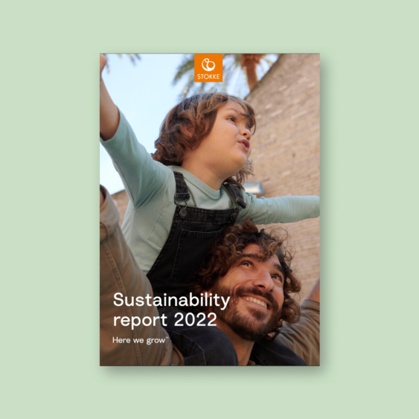 Sustanibility Report 2022