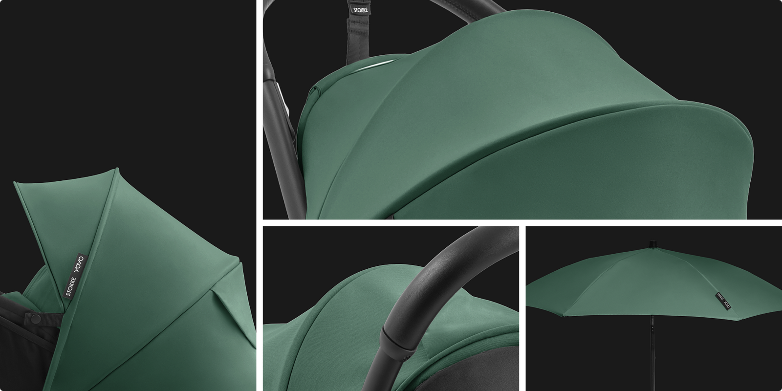 loc::image__forest-5x2_png