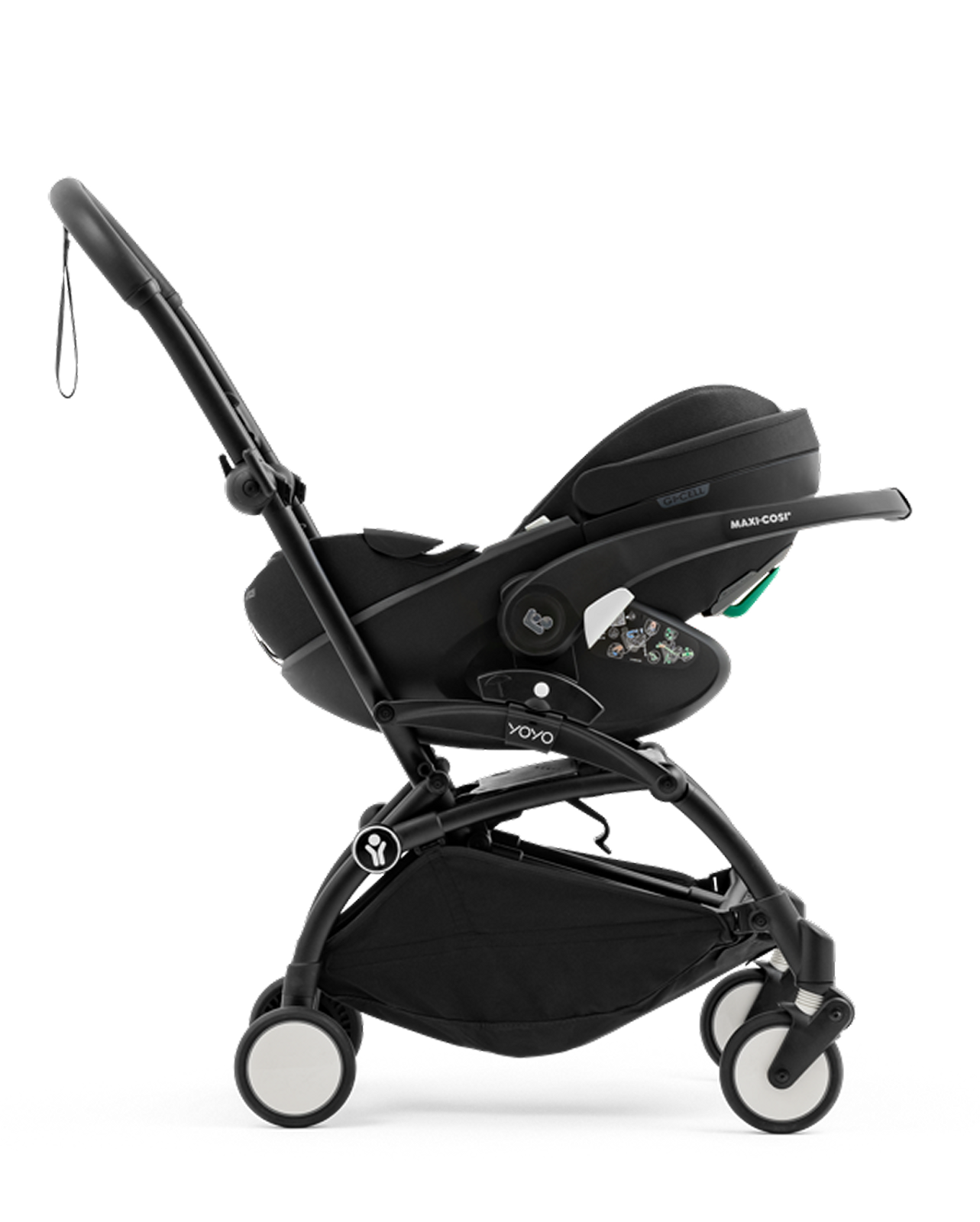 loc::image__3_maxicosi-4x5_for-sept-1st_png