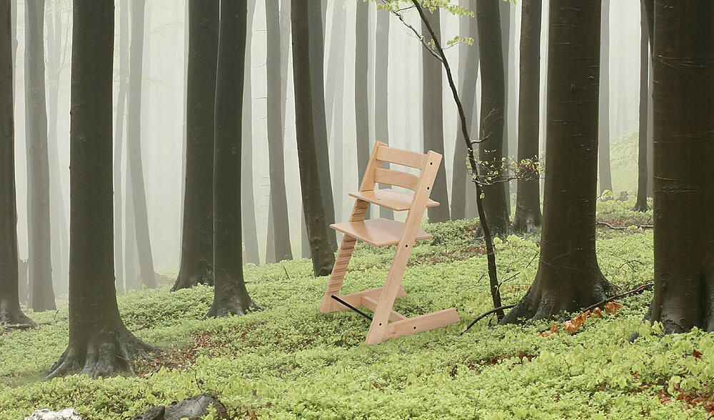 TT chair in green forest
